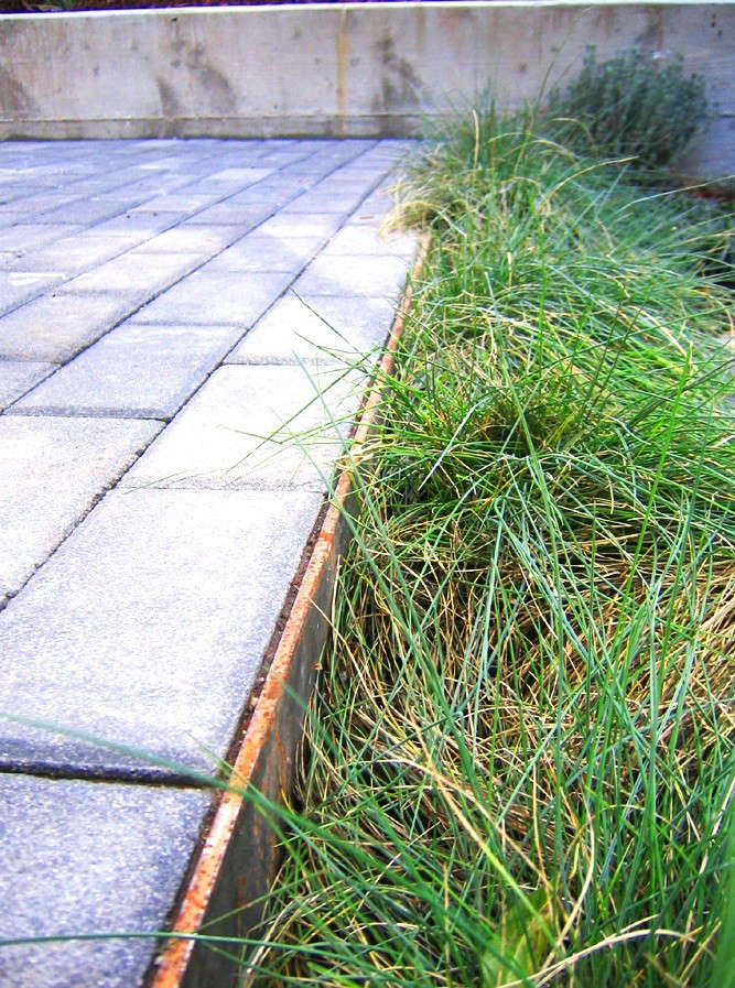 Creo Landscapes Montezuma Residence With Pavers and Grasses Gardenista